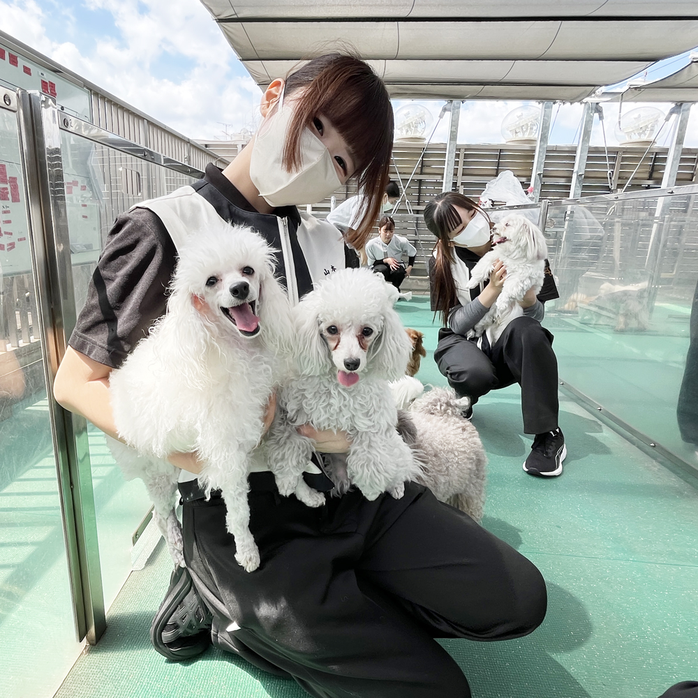 １年生もWan活始まりました♪